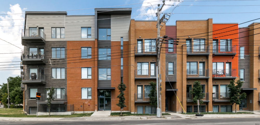 Ensemble Montréal demande que la Ville se dote d’un plan de lutte contre les rats