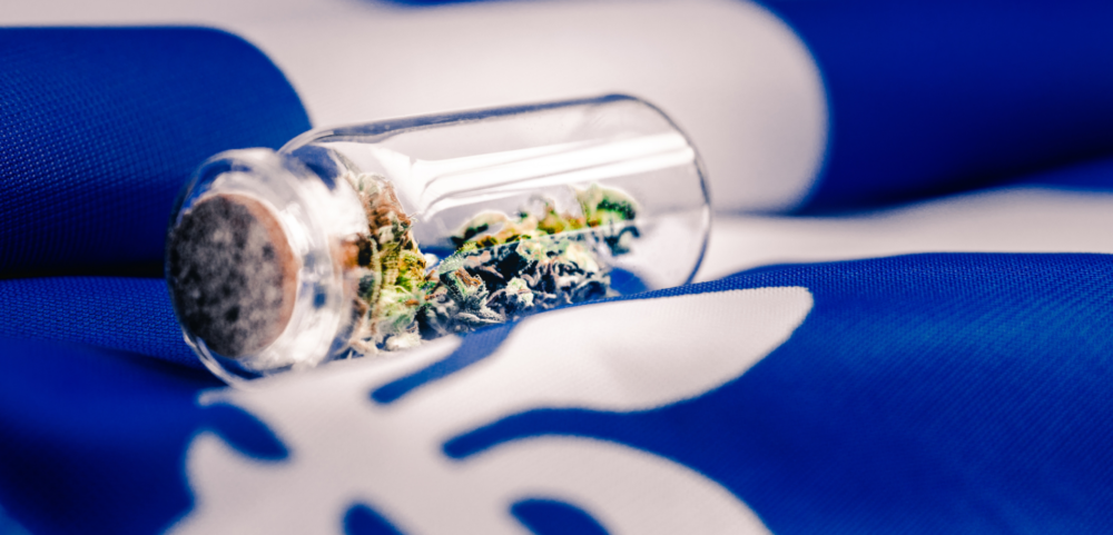 Légalisation du cannabis : les arrondissements d’Ensemble Montréal réglementeront la consommation de cannabis sur leur territoire