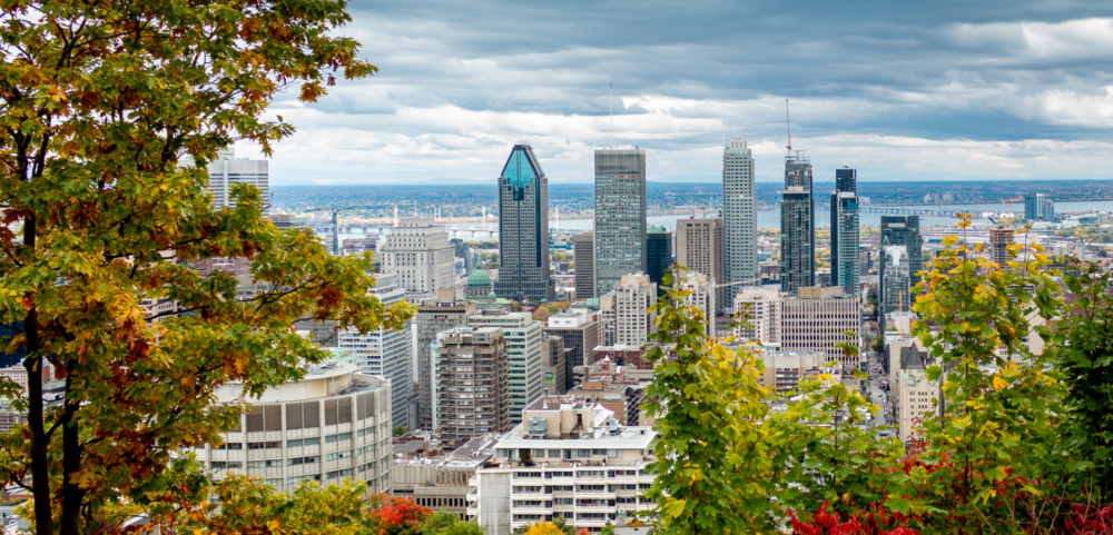 Closing Chemin Camillien-Houde – Mount Royal for all! Ensemble Montréal supports the grass-roots mobilization and demands the Plante administration consult Montrealers