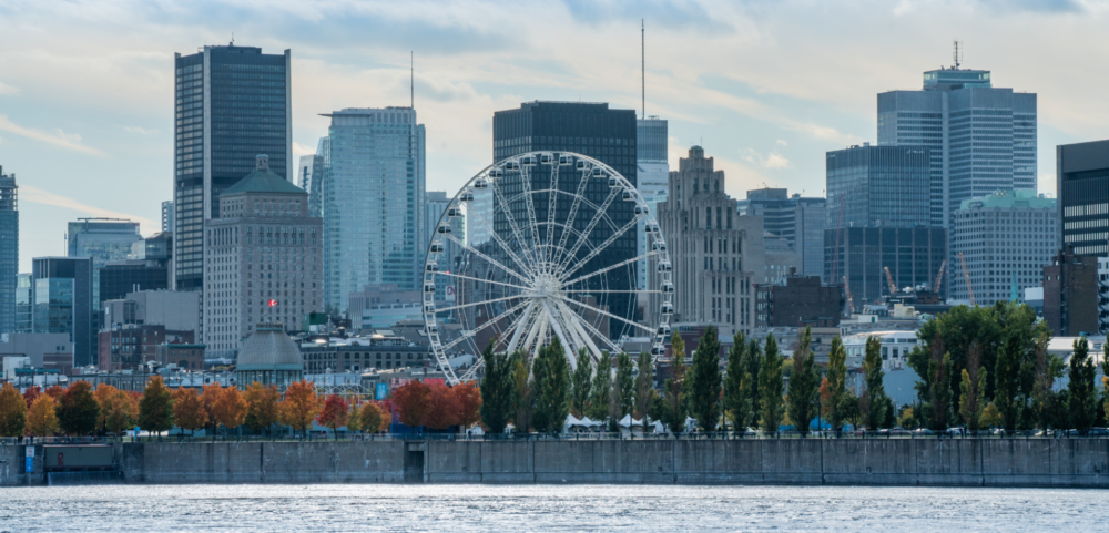 Conseil municipal du mois de mars : deux motions d’Ensemble Montréal adoptées