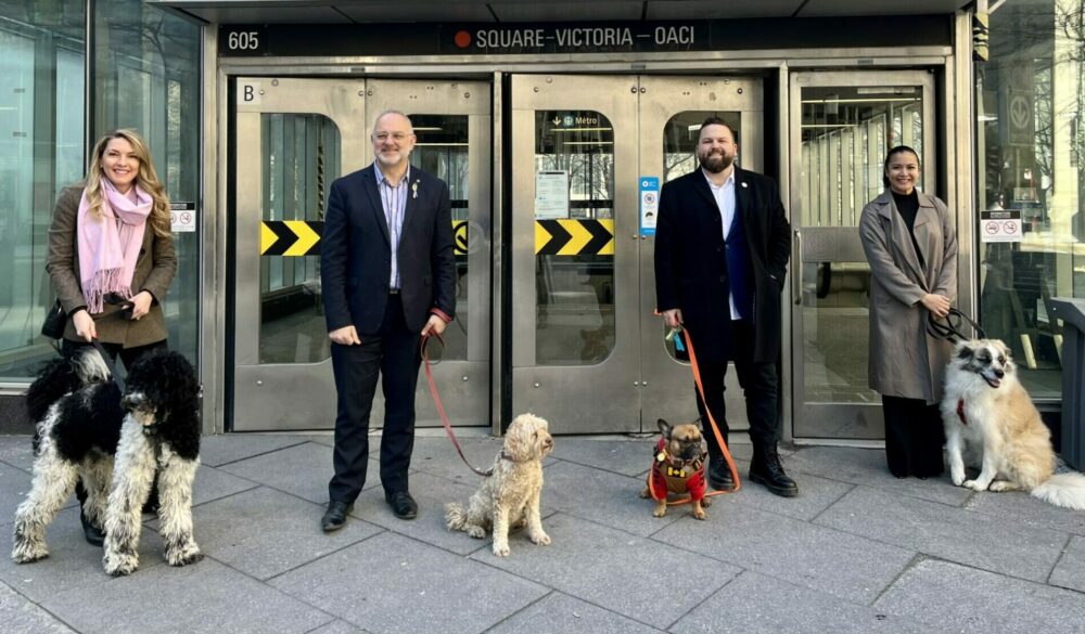 Ensemble Montréal wants the green light for dogs on leashes in the STM network