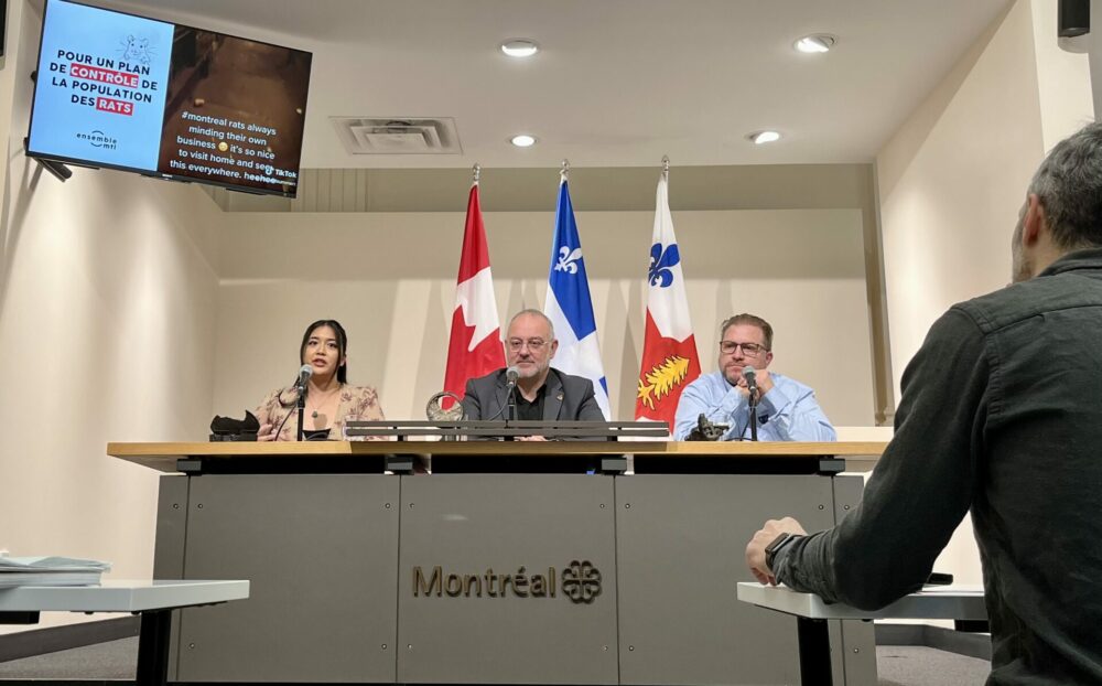 Ensemble Montréal wants to tackle rats and cleanliness issues 