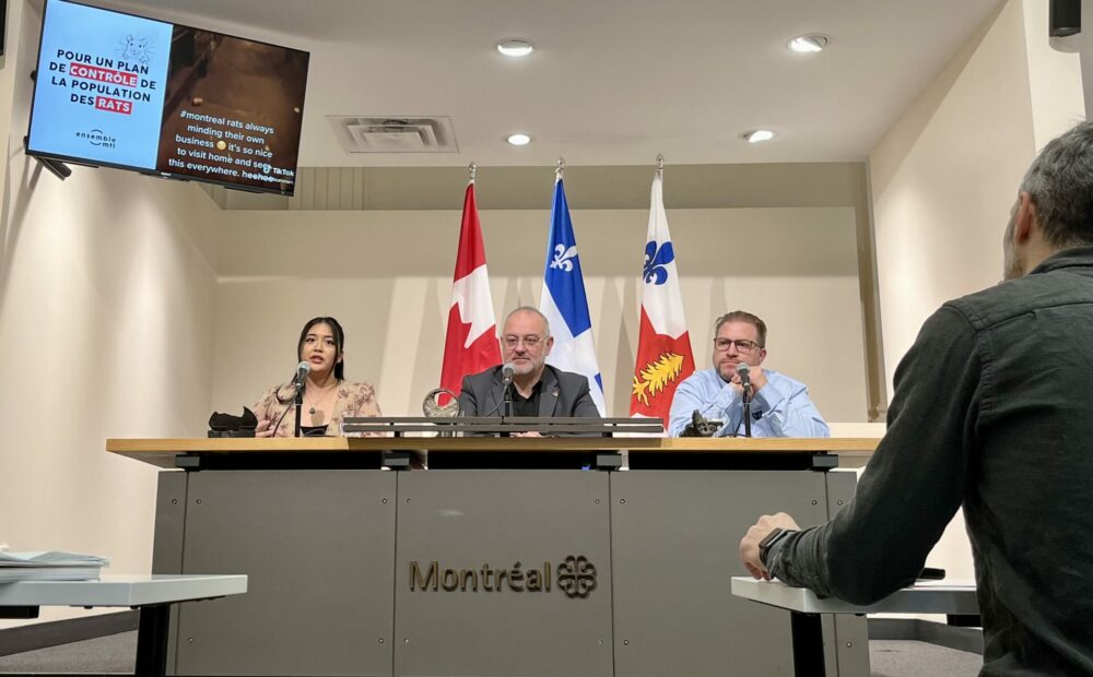 Ensemble Montréal veut s’attaquer aux rats et aux enjeux de propreté