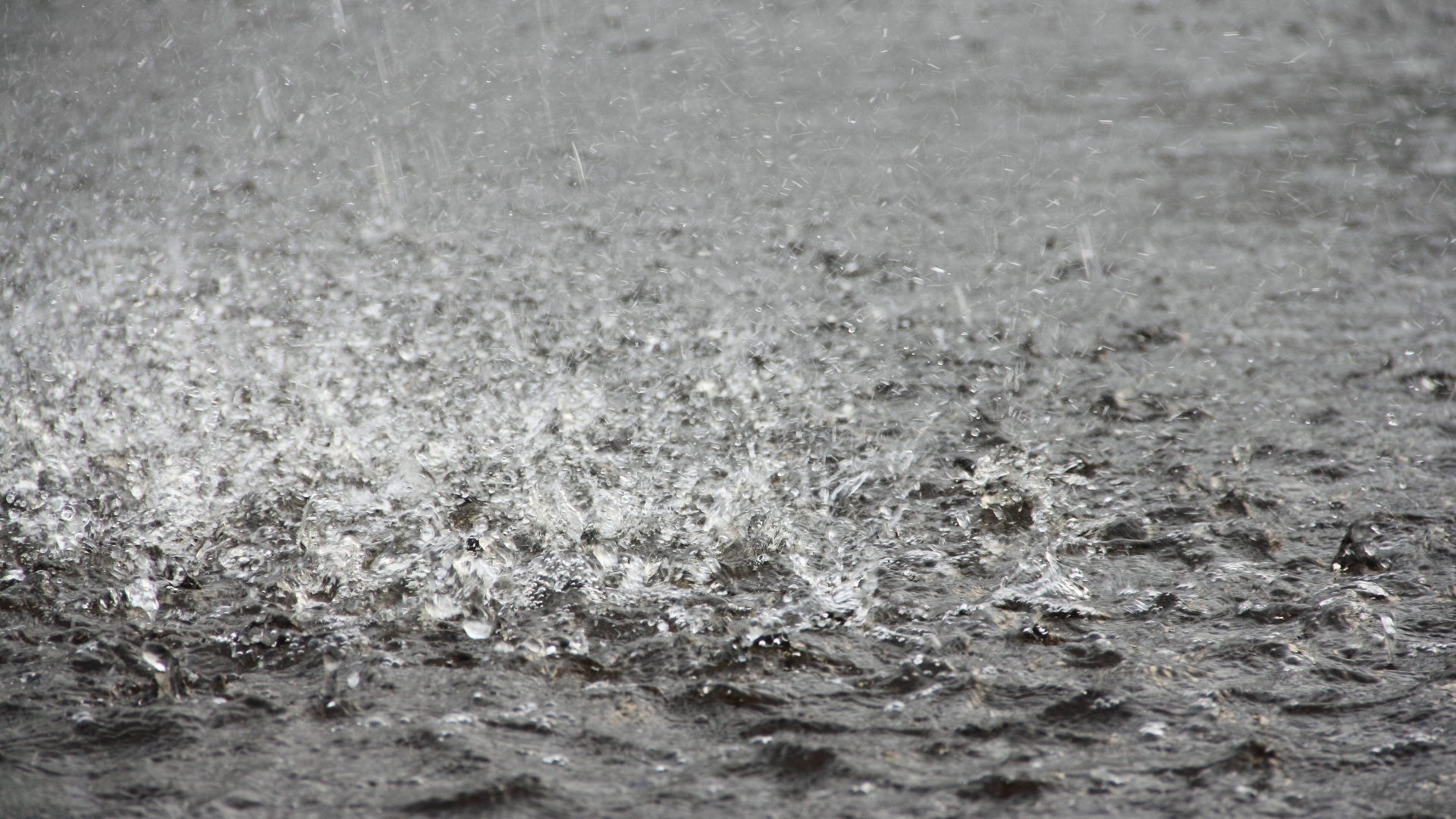 pluies diluviennes