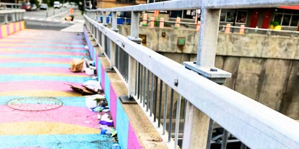 Soraya Martinez Ferrada Commits to Improving Basic Services for Montrealers
